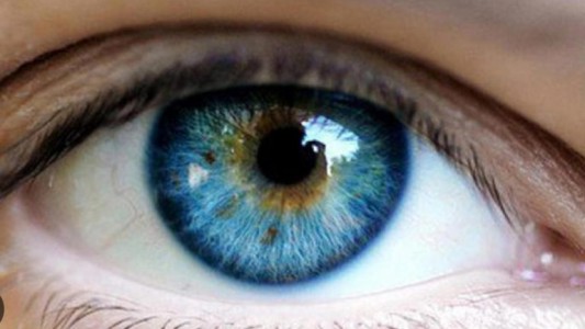 Día Mundial del Glaucoma: 4 de cada 10 personas no sabe qué es y nunca se tomó la presión ocular