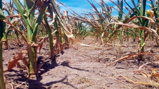 Carsfe considera "muy escasa la acción efectiva" del gobierno provincial frente a la prolongada sequía