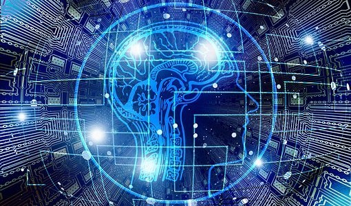 Semana Mundial del Cerebro: cómo cuidarlo