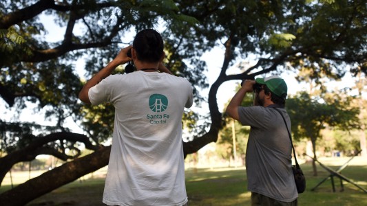 La Municipalidad de Santa Fe realiza un relevamiento de biodiversidad urbana