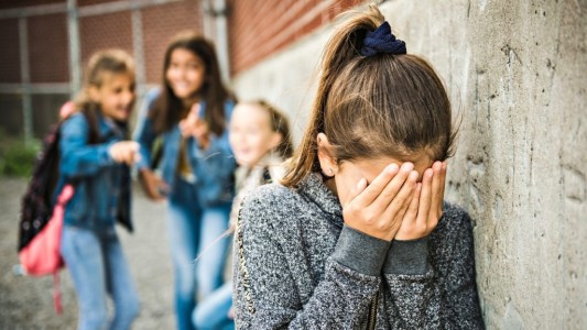 La mitad de los directores de escuela perciben buena convivencia entre alumnos