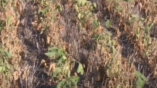 El otoño llegó con importantes lluvias y deja atrás a la histórica sequía 2021/2023