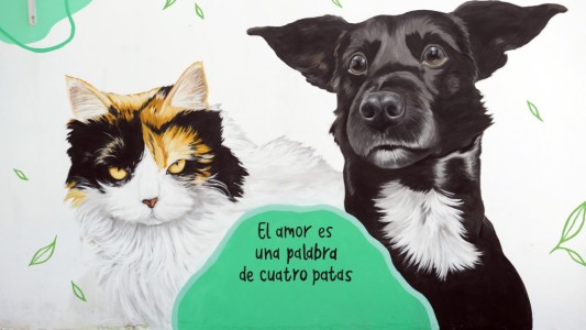 La Municipalidad propone actividades de concientización en el mes del Animal