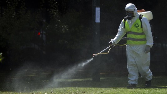 Dengue: Hay 28.000 casos confirmados en el país y piden extremar los cuidados