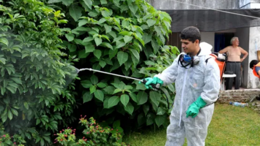 Dengue: El virus también se expande en la provincia de Santa Fe