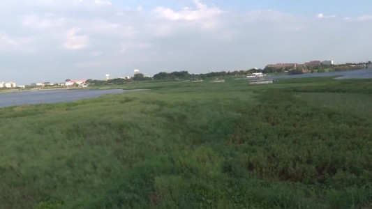 Clubes náuticos piden remover la vegetación de la laguna Setúbal