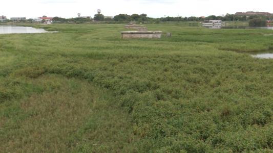 Conforman una mesa de trabajo entre el municipio y los clubes náuticos