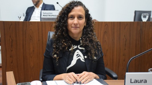 Dengue: desde el Concejo Municipal solicitan más acciones al gobierno provincial