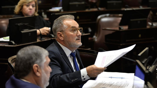 Lewandowski insistió con la votación sobre tablas y el Senado convirtió en Ley la nueva estructura judicial para la provincia