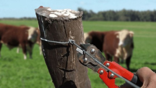 Condenaron a un sujeto que asaltaba establecimientos agropecuarios en Las Colonias