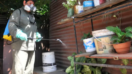 Detectan nuevas variantes de Dengue tipo 2 y Chikungunya en Argentina