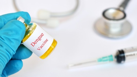 Vacunas contra el dengue, ¿cuáles son y qué hay en Argentina?