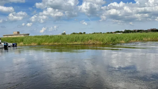 Embalsado en la Setúbal: La remoción comenzará el próximo martes