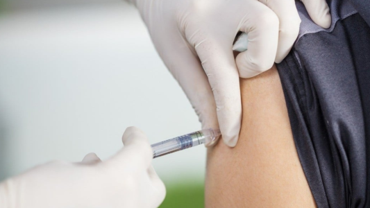 La ANMAT aprobó el uso de una vacuna de un laboratorio japonés contra el dengue