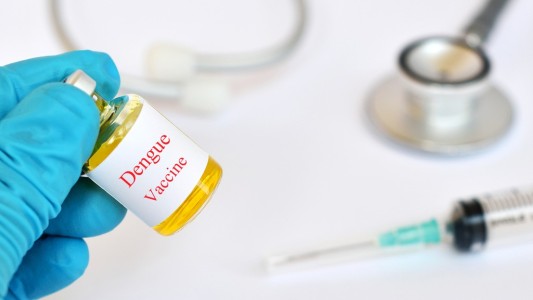 Afirman que la vacuna contra el dengue llegará “a mediados de primavera”