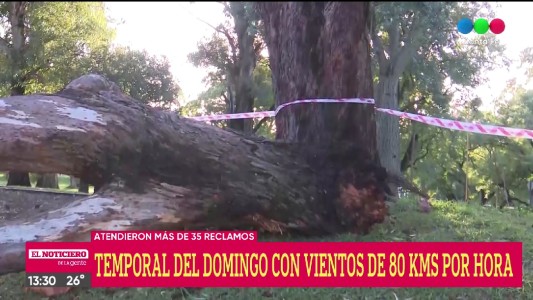 Viento en Santa Fe: la Municipalidad atendió más de 35 reclamos