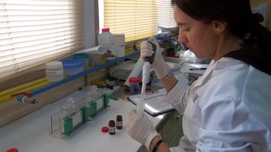 Científicas santafesinas y un inédito descubrimiento sobre el cannabis medicinal