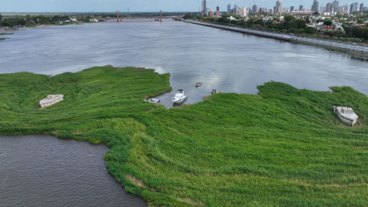 Los anfibios ya trabajan en la Setúbal para remover el embalsado y abrir la navegación