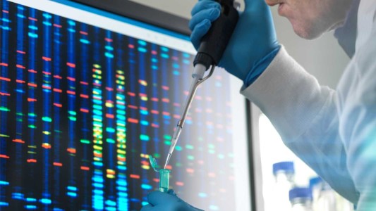 Publicaron el primer "pangenoma" humano, llave para el tratamiento de enfermedades raras