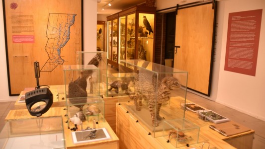 El Museo Florentino Ameghino cumple hoy 109 años
