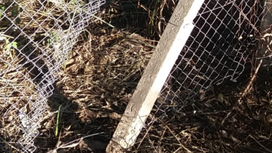 Otra vez volvieron a robar cables en el club Naútico El Quillá