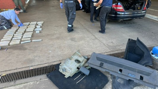 Triple Frontera: un perro descubrió un cargamento de marihuana valuado en 33 millones de pesos