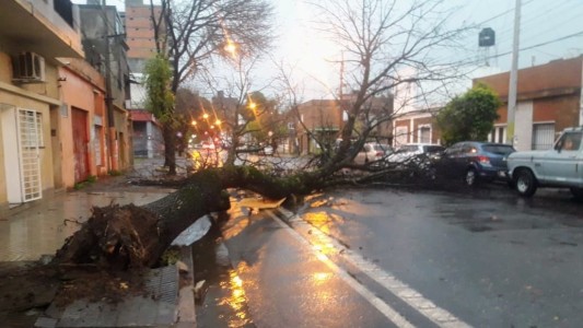 Por el fuerte temporal en Rosario hay calles anegadas y árboles caídos