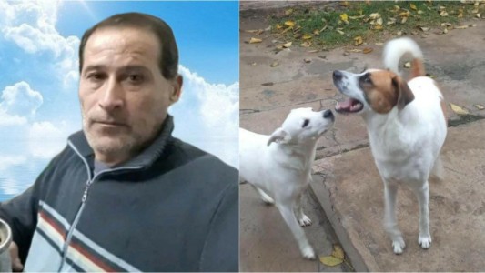 Buscan una familia para Oliver y Luna, los perritos del hombre asesinado en Guadalupe Oeste
