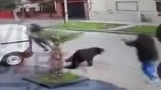 Intentaron robarle la camioneta, corrió para huir y lo mataron de un tiro por la espalda