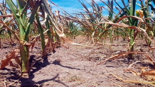 La emergencia agropecuaria en la provincia se extiende cuatro meses más
