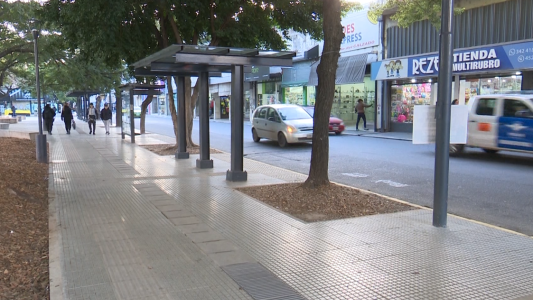 Empresarios del transporte advierten sobre "paralización definitiva" del servicio