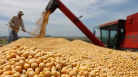 Por qué la Argentina está quedando relegada en el mercado mundial de la soja