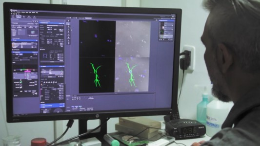 La provincia presentó un ciclo de documentales para conocer qué es y cómo se hace ciencia en Santa Fe