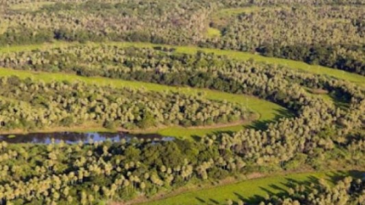 Femicidio de Cecilia Strzyzowski: hallaron más restos óseos cerca del campo de la familia Sena