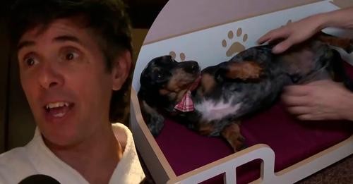 Robertito Funes Ugarte llevó su perro a los Martín Fierro 2023: "Quiero dárselo a Susana"