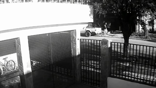 Caso Cecilia: hallaron posibles manchas de sangre en la camioneta de César Sena