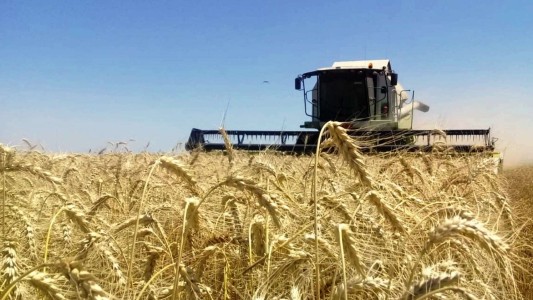 Para el campo, las medidas de Massa “tienen un efecto totalmente inflacionario”