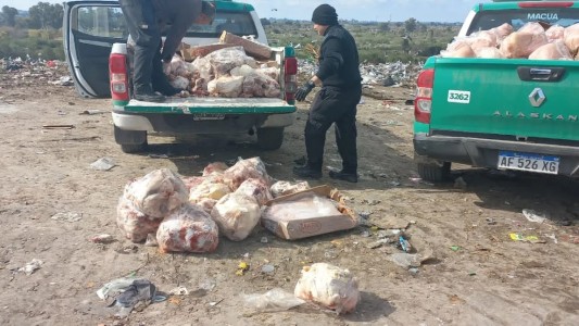 Clausuraron un frigorífico ilegal y secuestraron 1.680 kilos de carne