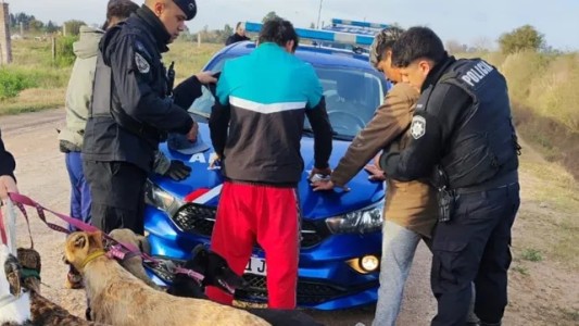 Funes: rescataron más galgos maltratados que usaban para cazar y hay tres detenidos