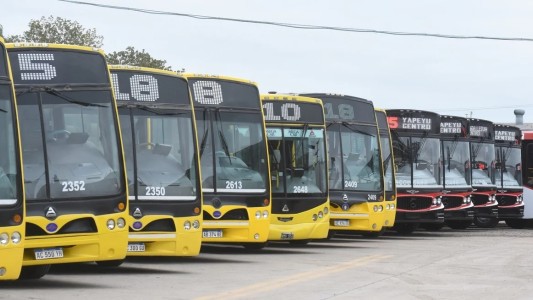 "El intendente Jatón debe retirar los pliegos del transporte público"