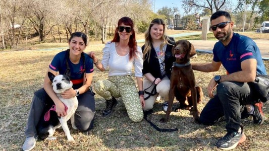 Diversidad, qué ves cuando me ves: “Binomio humano/animal: infalible”