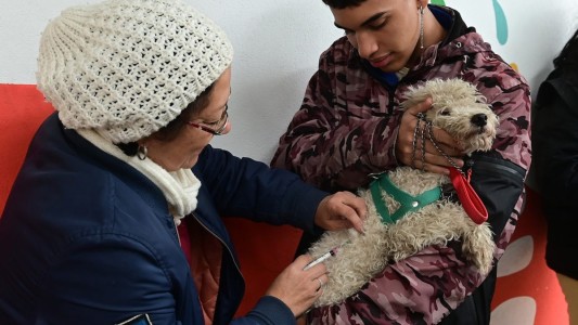 Trabajos de iluminación y bacheo previstos para este martes 22
