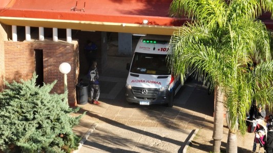 Un perro mordió a un niño de 7 años