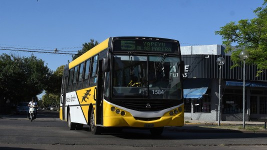 Servicios municipales previstos para los próximos feriados