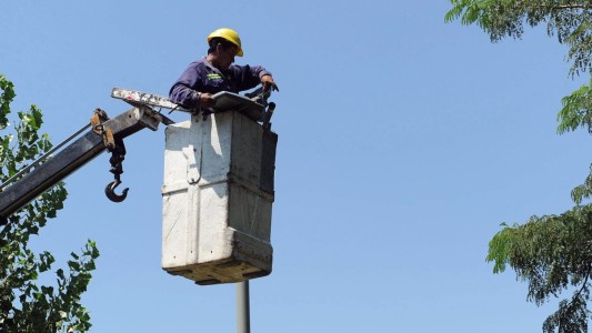 Trabajos de fumigación, bacheo, iluminación y drenaje urbano previstos para este martes 7 de noviembre