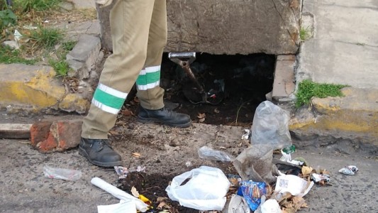 Trabajos de fumigación, bacheo, iluminación y drenaje urbano previstos para este miércoles 8 de noviembre