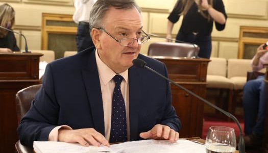 Michlig: “Era necesario que me quede en el Senado para asegurar la gobernabilidad de Pullaro”