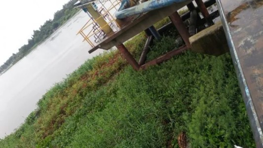 Aguas Santafesinas realiza tareas de remoción de camalotes en la toma Hernández