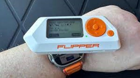Encontraron en Córdoba un Flipper Zero, un artefacto que hackea casi todo