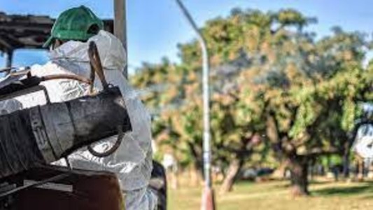 Trabajos de fumigación, bacheo, iluminación y drenaje urbano previstos para este martes
